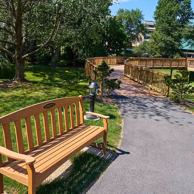 A wooden bench beside a paved path leading to a curved wooden boardwalk surrounded by grass, trees, and a nearby lamp.
