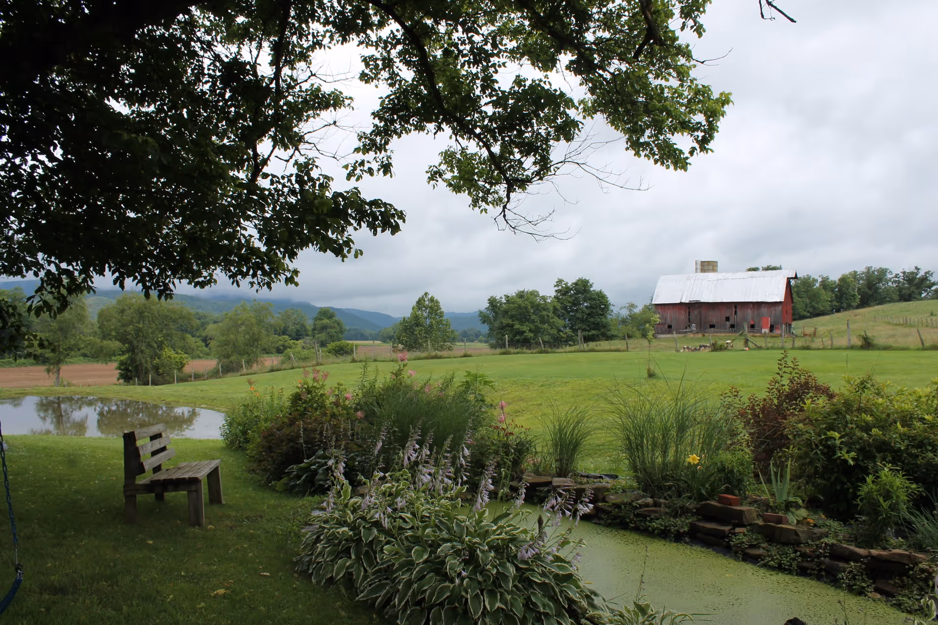 A peaceful rural scene with a wooden bench under a tree, overlooking a small pond surrounded by plants and flowers. In the background, there is a large green field with a red barn and trees, with mountains visible under a cloudy sky.