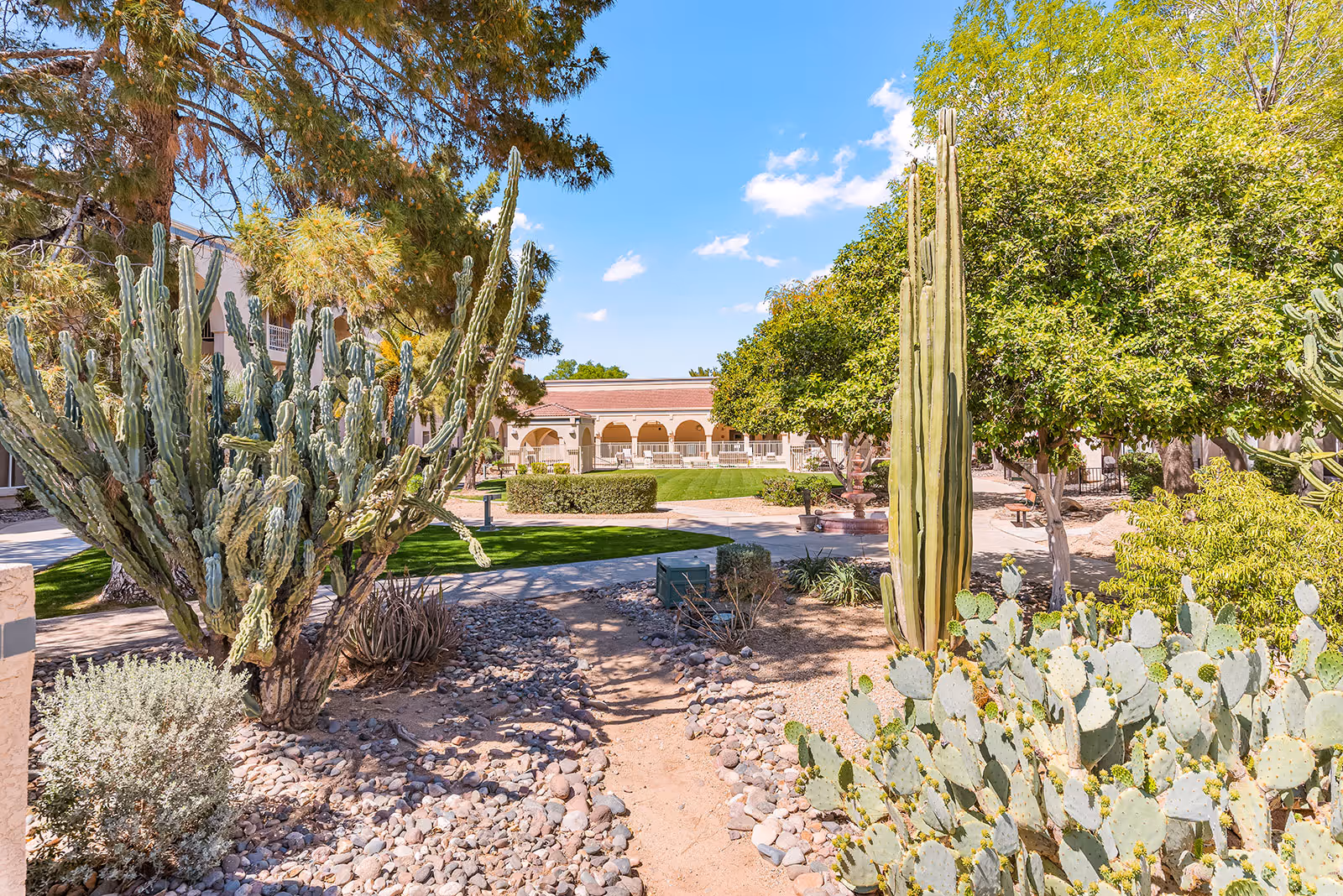 Outdoor garden area at Solstice Senior Living at Sun City West featuring desert landscaping with various cacti and trees, a dry rocky path, green grass, and a building with arches in the background under a blue sky with some clouds.