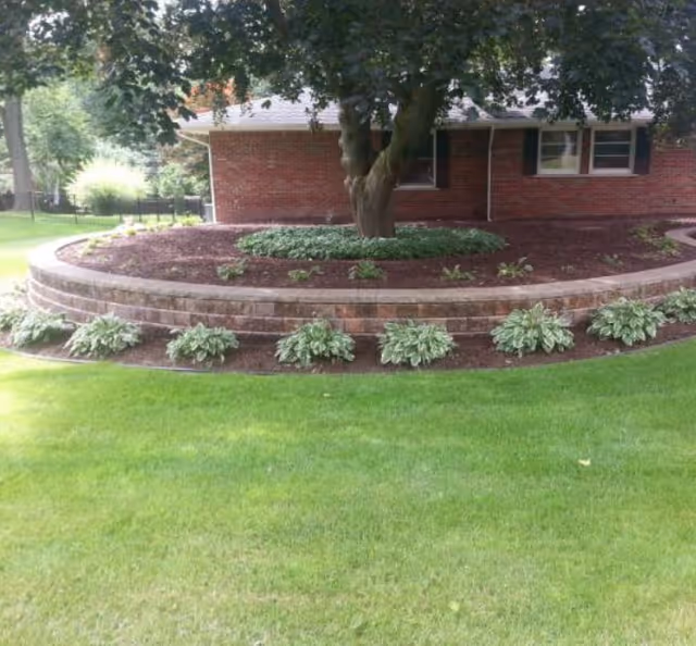 Raised stone retaining bed with a large tree and hostas in front of a brick house and well-kept lawn.