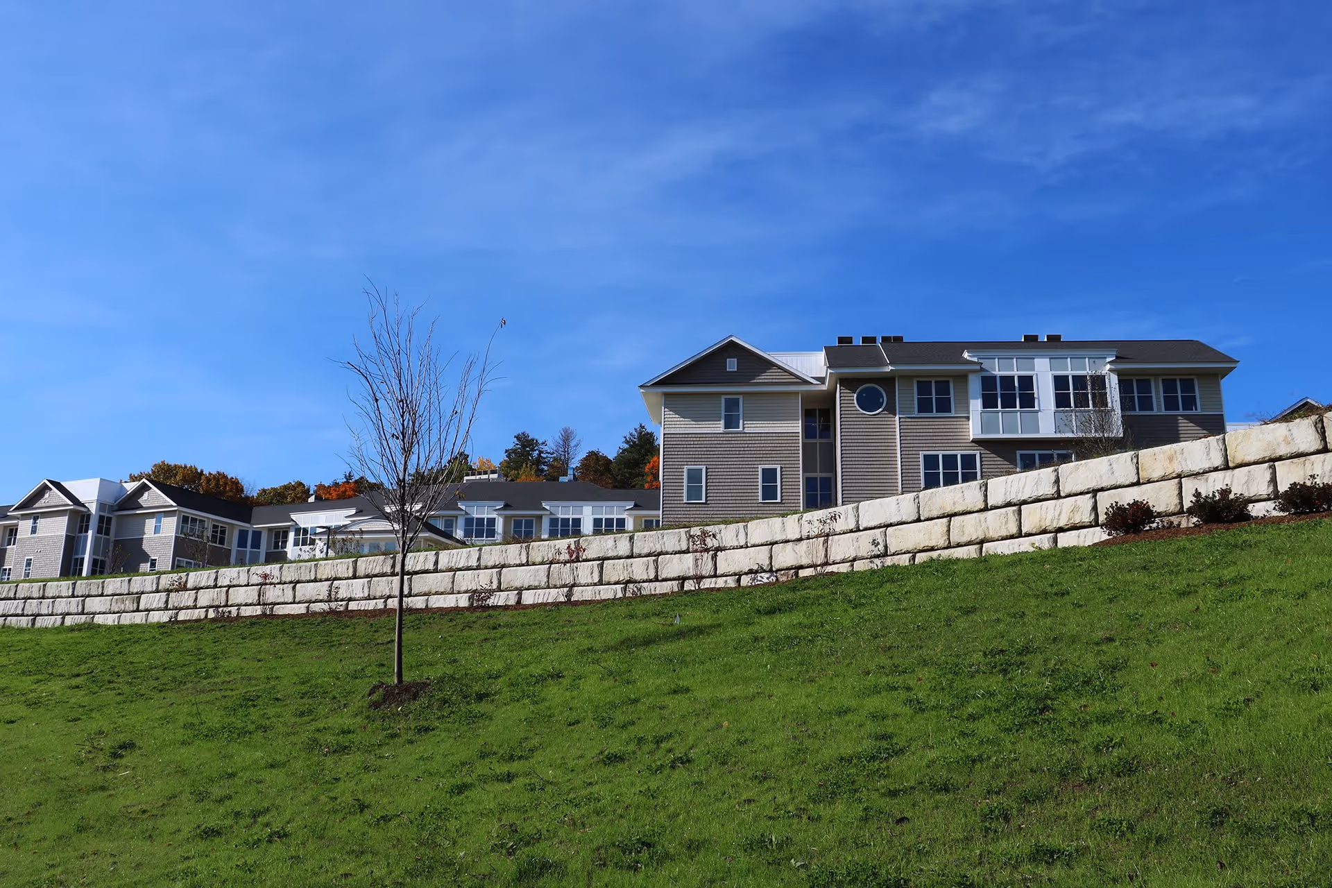 Exterior view of a multi-story senior living facility building on a grassy hill with a stone retaining wall and a young leafless tree in the foreground under a clear blue sky.