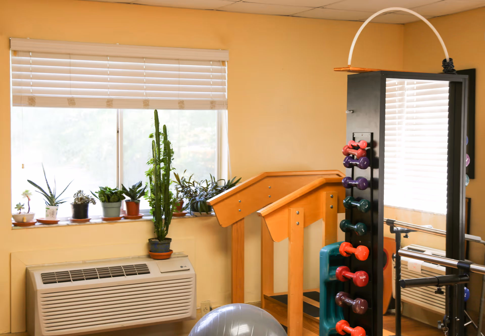 A small exercise room with a window featuring several potted plants on the windowsill. There is a wooden handrail structure for physical therapy or walking exercises, a rack holding colorful dumbbells, and a large exercise ball on the floor. The room has beige walls and a wall-mounted air conditioning unit below the window.