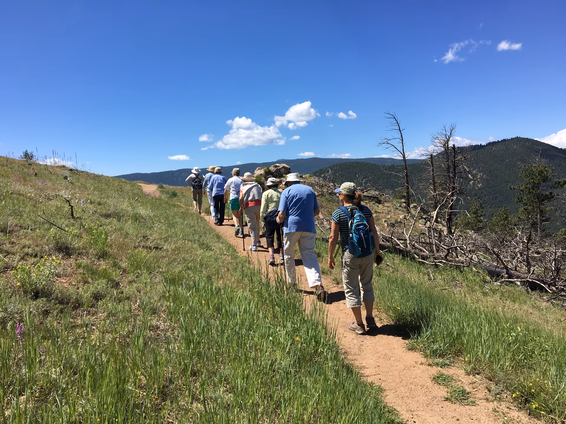 A group of people hiking along a dirt trail through grassy hills with mountains under a clear blue sky.