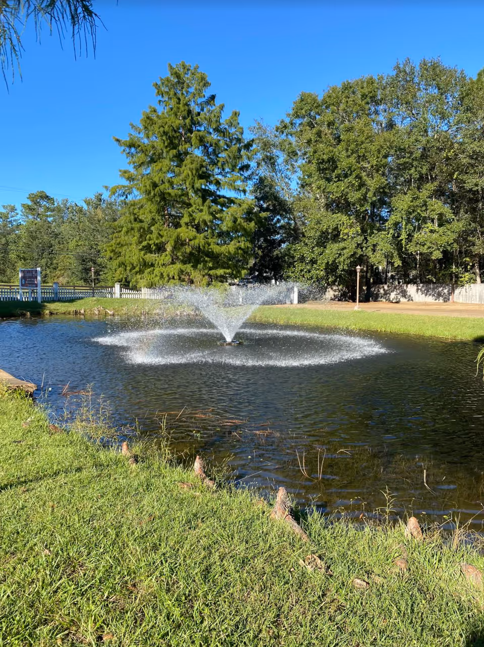 A small pond with a water fountain spraying water in the center, surrounded by green grass and trees under a clear blue sky.