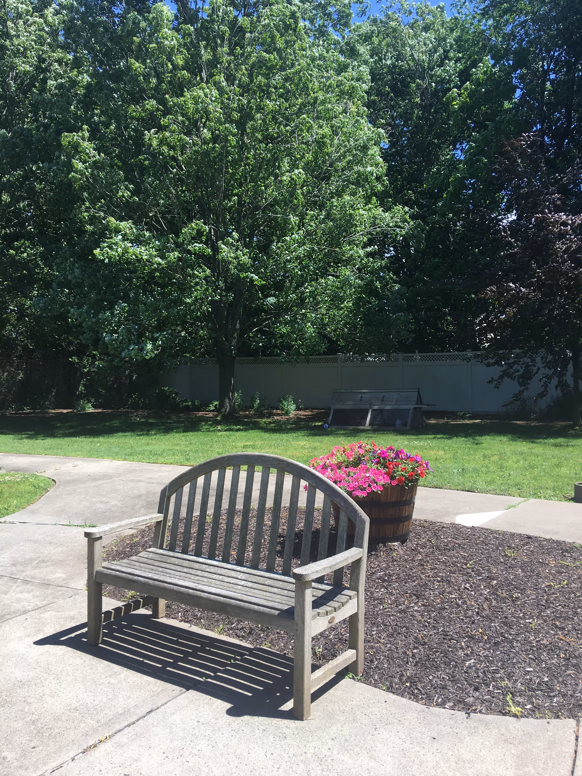 A wooden bench on a concrete pathway in a garden area with green grass, a large tree, and a wooden barrel planter filled with pink and purple flowers under a clear blue sky.