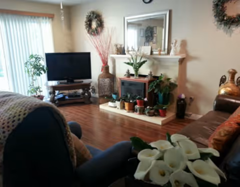 Cozy living room with wooden flooring, a TV on a stand, a fireplace decorated with plants and a mirror above it, a blue armchair with a crocheted blanket, a brown leather sofa with cushions, and various potted plants around the room.