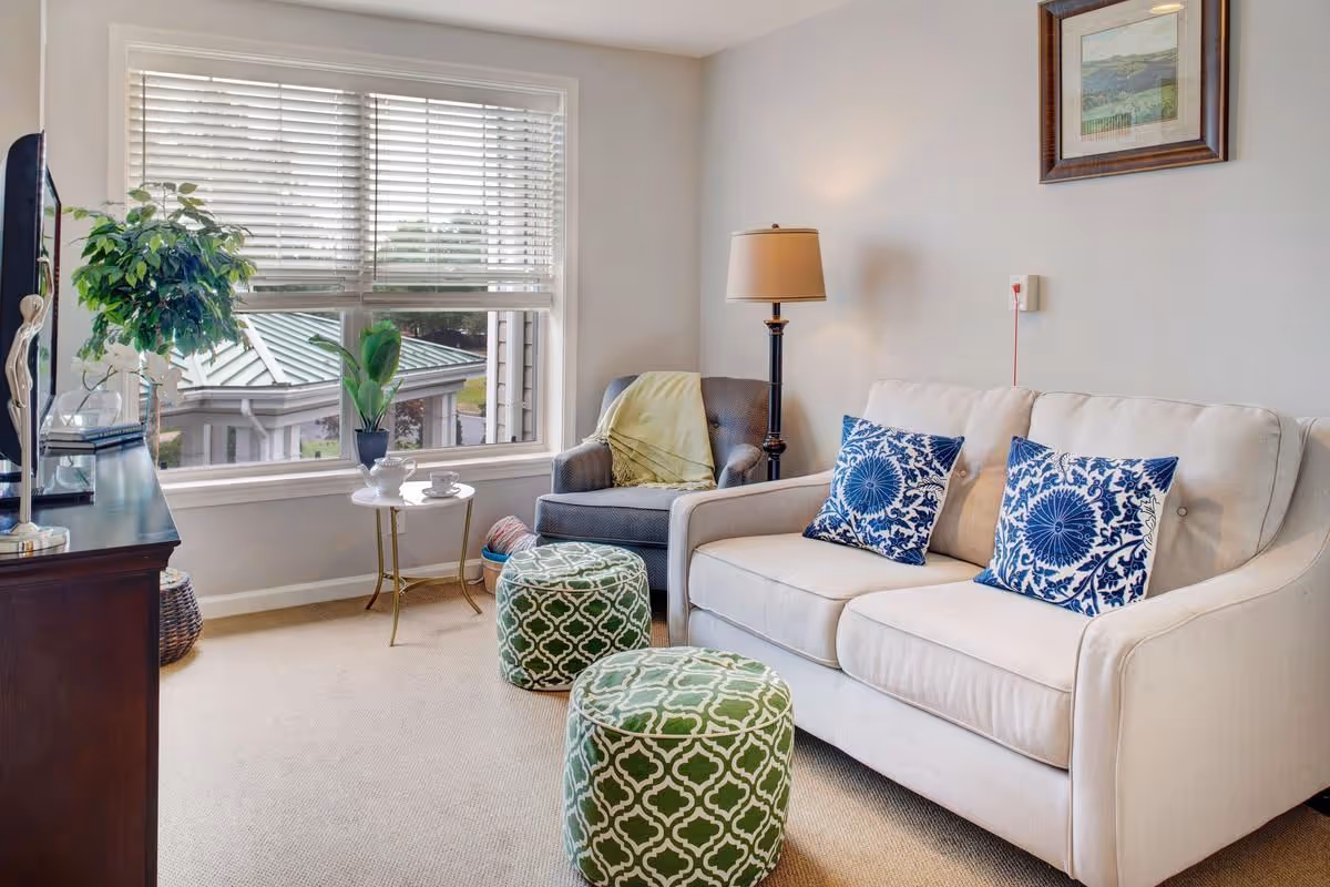 Bright living room with a light sofa topped with blue patterned pillows, two green patterned ottomans, an armchair and floor lamp by a large window, and a TV stand with plants.