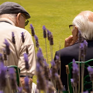 Two elderly individuals sitting outdoors on green chairs, viewed from behind with purple flowers in the foreground and a grassy area in the background.