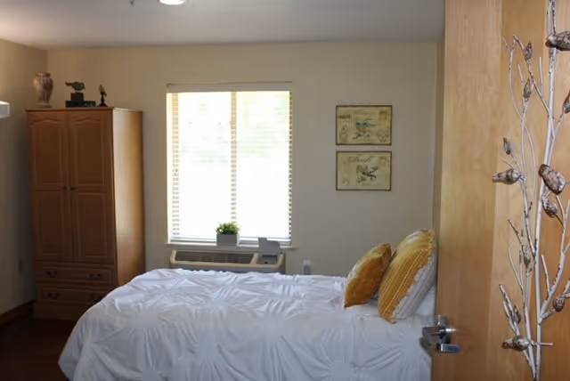 A bedroom with a neatly made bed featuring white bedding and two yellow pillows. There is a wooden wardrobe on the left side, a window with blinds in the center, and two framed pictures on the wall. A small plant is placed on the windowsill above an air conditioning unit. The door is partially open, showing a decorative branch on the inside of the door.