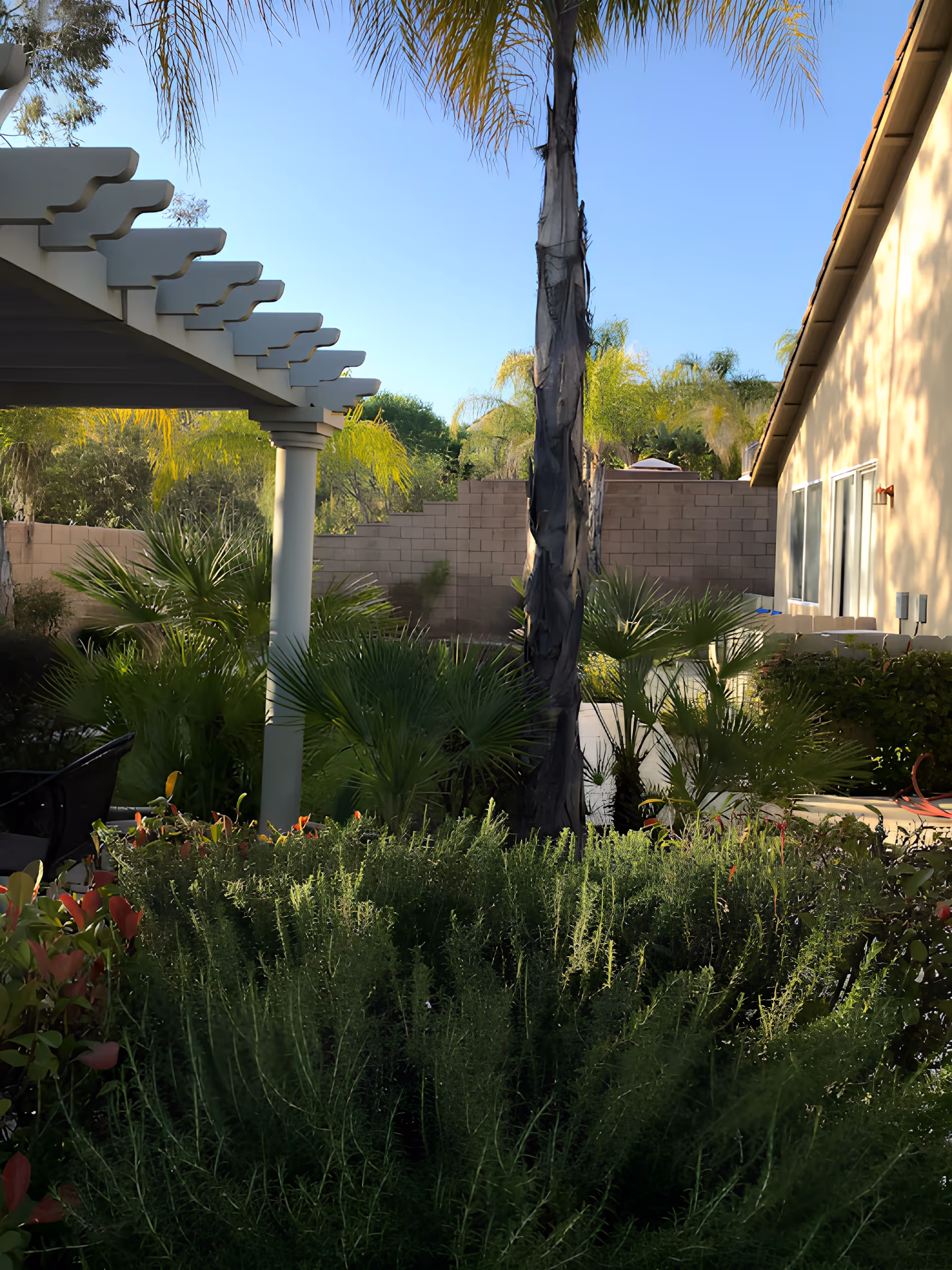 Outdoor garden area with lush green plants and palm trees, a white pergola on the left side, and a beige building with windows on the right side under a clear blue sky.