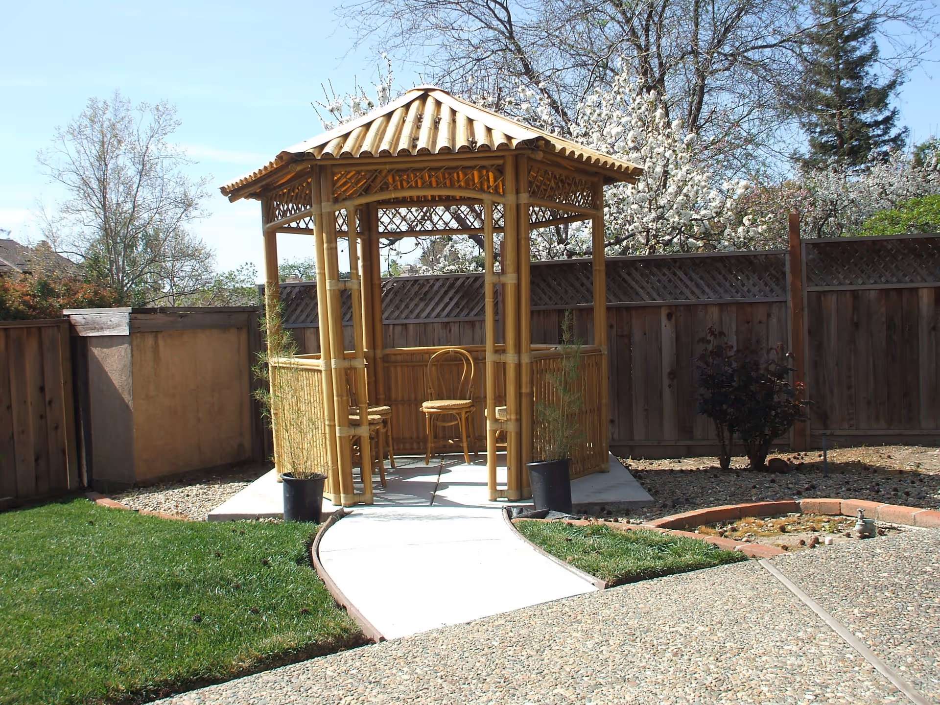 A wooden gazebo with a thatched roof situated in a fenced backyard garden. Inside the gazebo, there are three wooden chairs. The garden has a concrete pathway leading to the gazebo, green grass on one side, and a small circular brick-bordered area with soil on the other side. Trees with white blossoms and other plants are visible in the background under a clear blue sky.