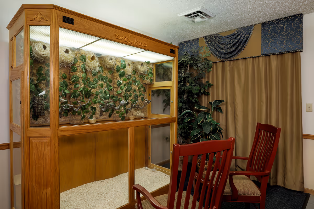 A wood-framed indoor aviary with artificial plants and nests next to two red wooden chairs and draped curtains.