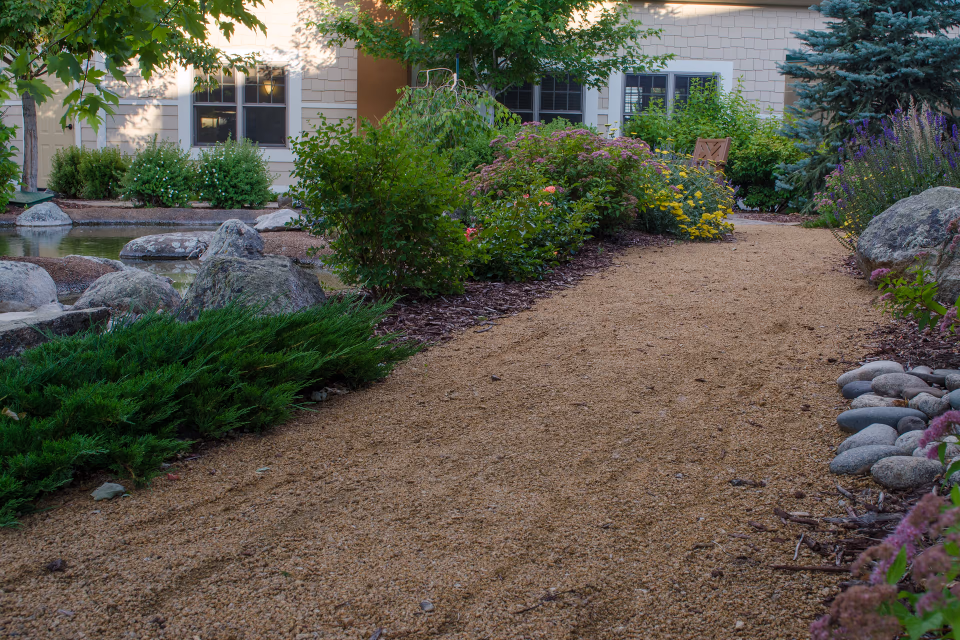 A garden pathway covered with gravel, bordered by various green shrubs, flowering plants, and rocks. In the background, there is a building with beige siding and several windows, partially shaded by trees.