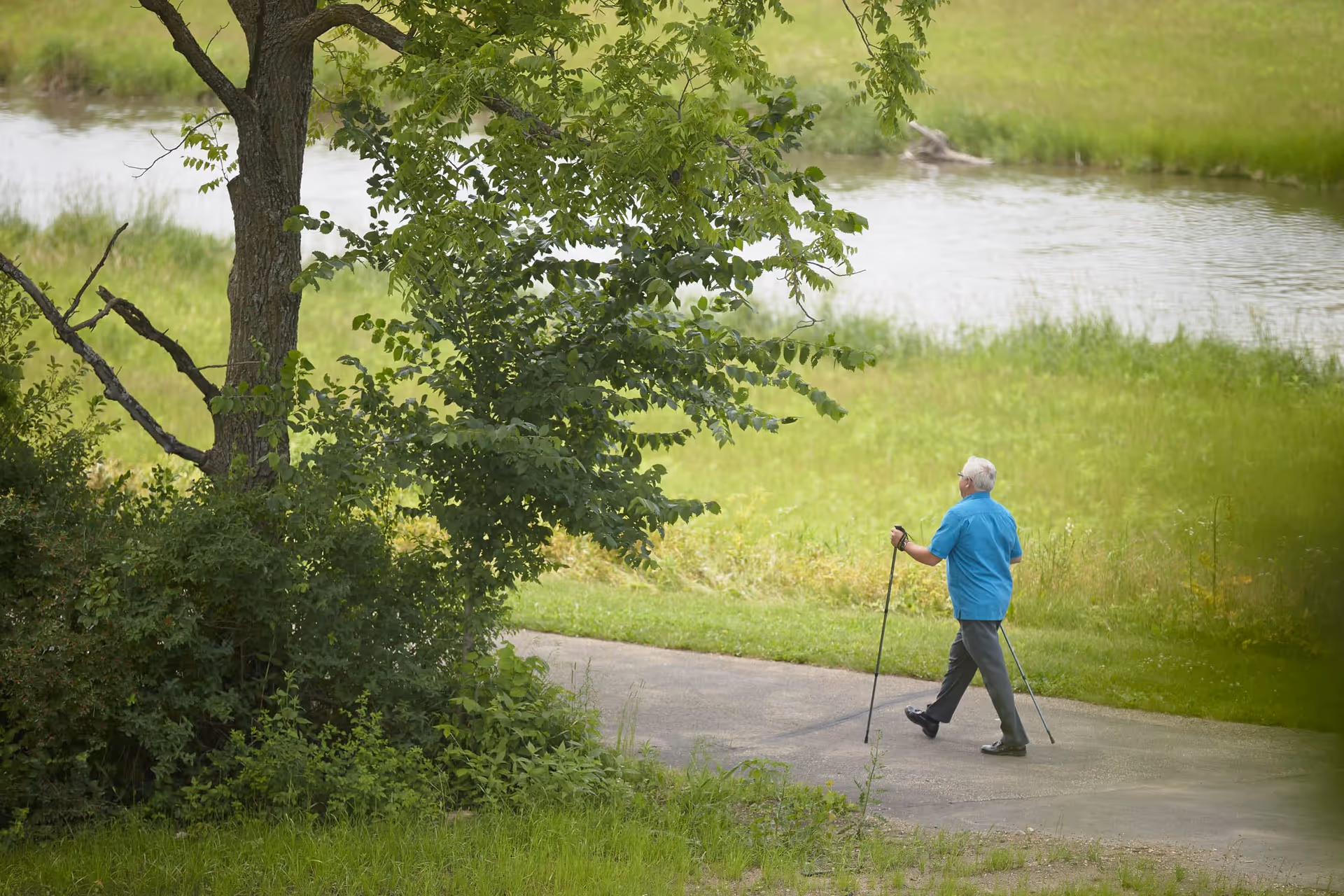 An elderly man wearing a blue shirt and dark pants is walking with the aid of two walking poles on a paved path beside a body of water, surrounded by green grass and trees.