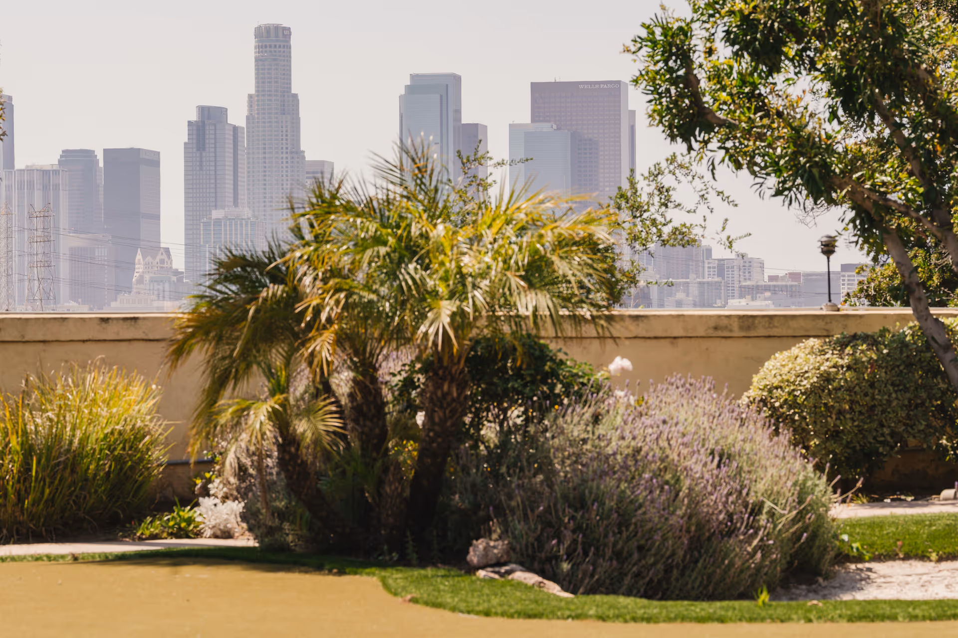 A garden area with various plants including palm trees and bushes, with a city skyline in the background under a clear sky.