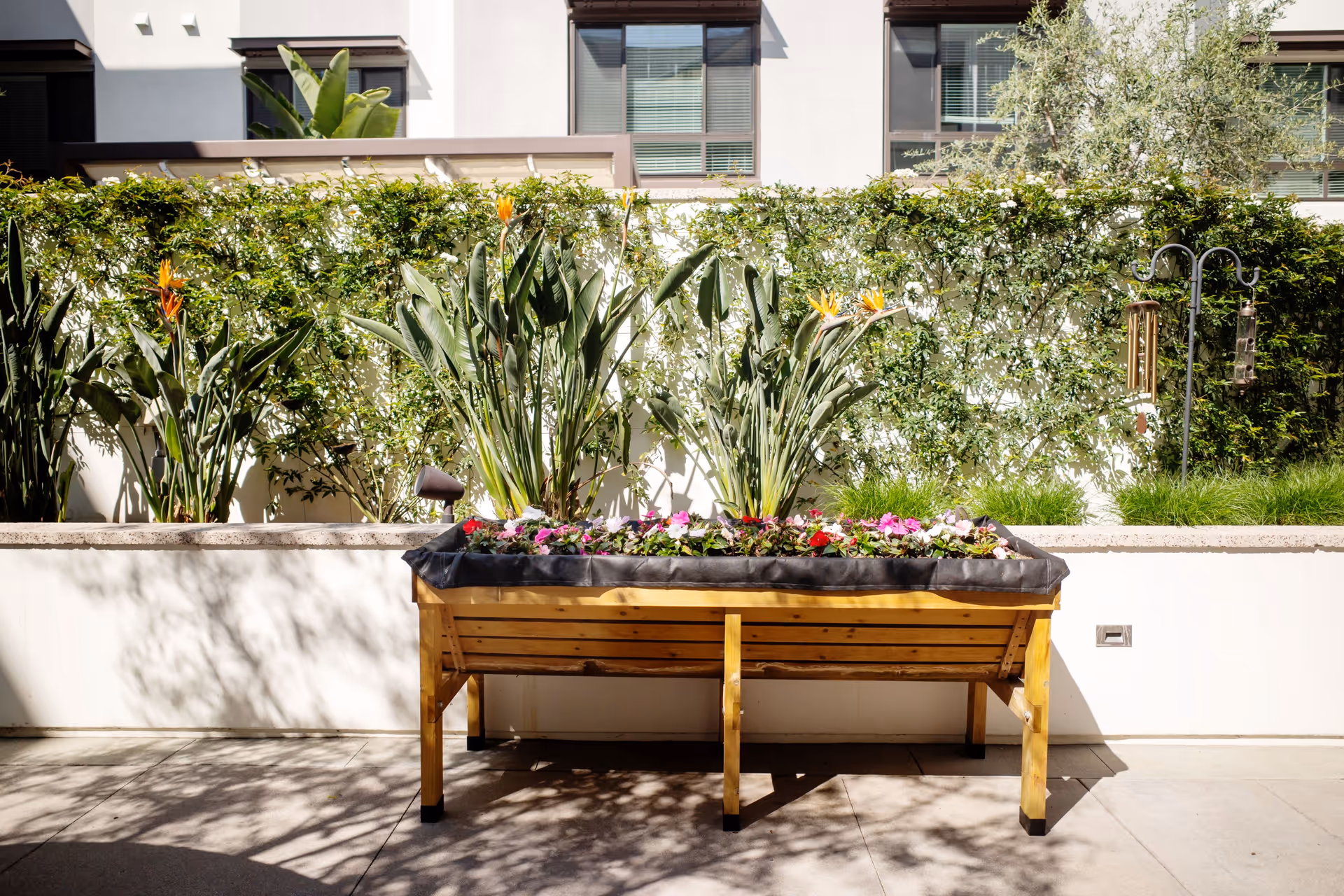 A wooden raised garden bed filled with various flowering plants, including bird of paradise flowers, set against a white wall with green vines and shrubs. In the background, there are windows of a building and a metal bird feeder stand with hanging feeders.