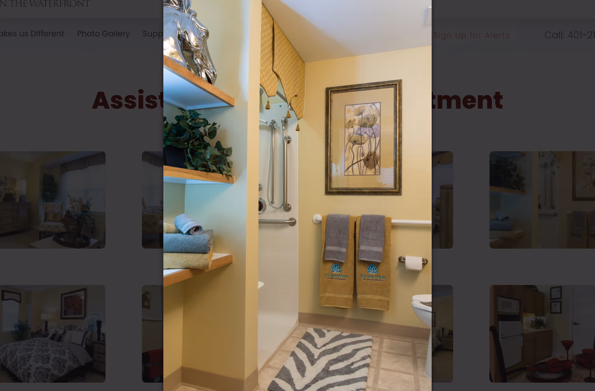 A bathroom with light yellow walls featuring a walk-in shower with grab bars, a framed abstract artwork on the wall, two towels hanging on a towel rack with the logo 'Tockwotton on the Waterfront', a toilet paper holder, a zebra-patterned rug on the floor, and wooden shelves holding folded towels and a potted plant.