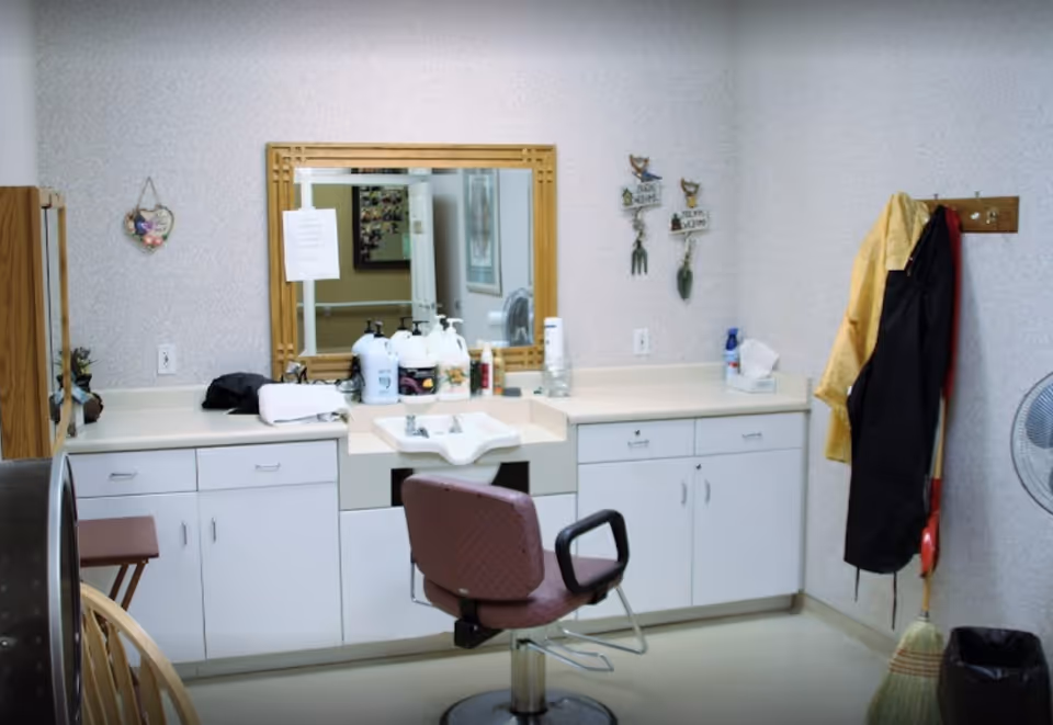 A small salon or grooming area with a swivel chair in front of a counter and sink. The counter has several bottles of hair or skin products, a towel, and a mirror with a wooden frame. On the wall, there are decorative hanging items and a coat rack with a yellow and black apron hanging. A broom and dustpan are leaning against the wall next to a fan and a trash bin.