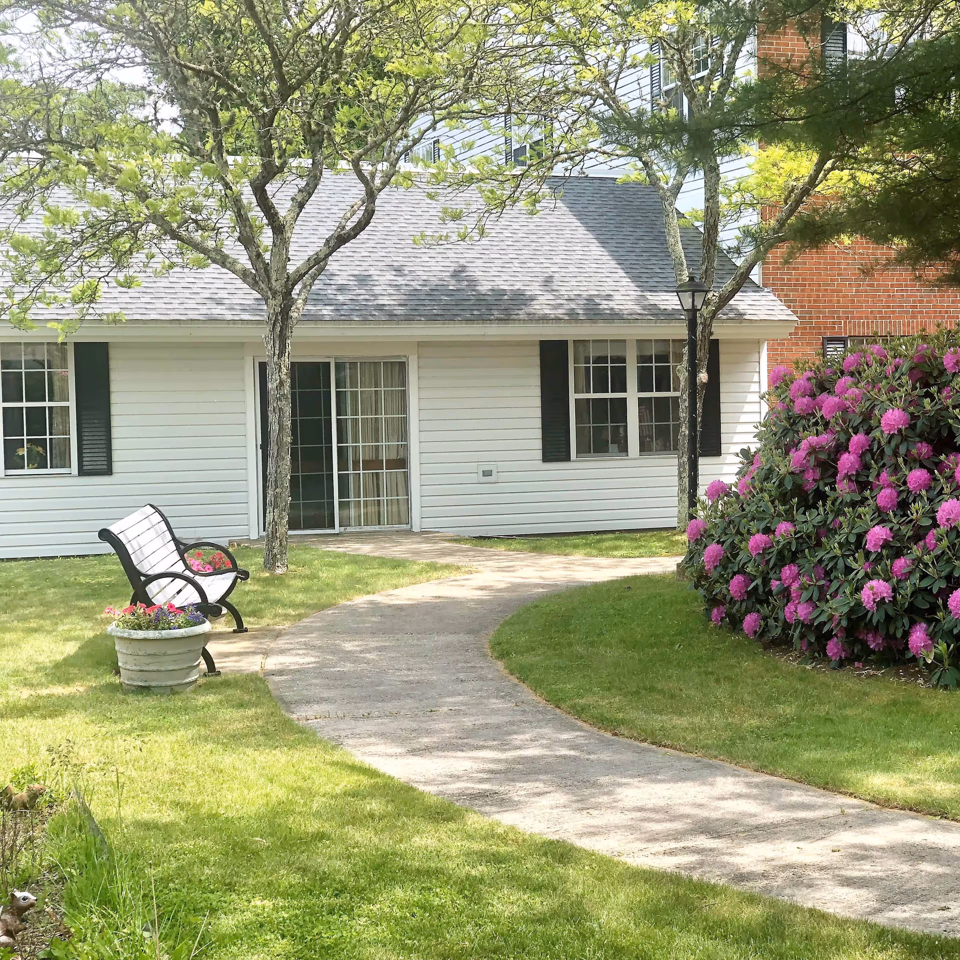 A curved concrete pathway leads through a green lawn with a white bench and a flower pot on the left side. There are two trees along the path and a large bush with vibrant purple flowers on the right. In the background, there is a white building with black shutters and a sliding glass door, partially shaded by the trees.