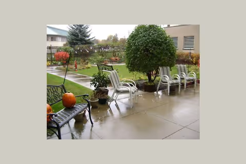 Outdoor patio area with wet concrete floor, several white chairs arranged in a row, a black metal bench with pumpkins on it, potted plants, a small tree, and a wooden fence in the background with some greenery and autumn foliage.