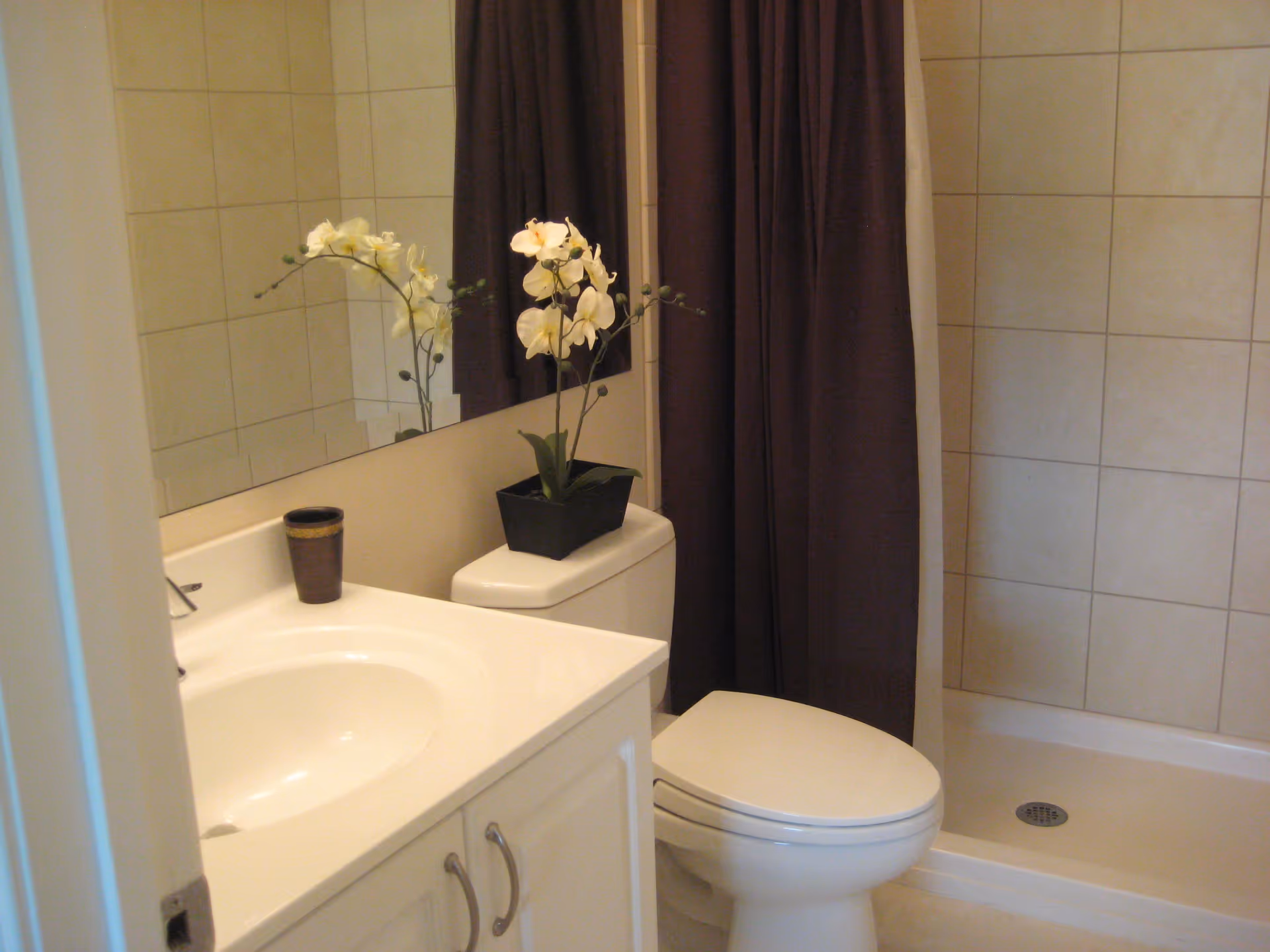 A clean bathroom with a white sink and countertop, a toilet with a potted orchid plant on top, a large mirror above the sink, and a shower area with beige tiled walls and a dark brown shower curtain.