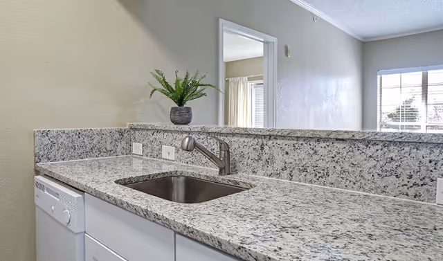 Granite kitchen countertop with an undermount sink and faucet, dishwasher, raised bar with a potted plant, and a view into the adjoining room.