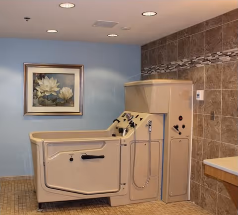 A beige walk-in bathtub with control knobs and a handheld shower head in a tiled bathroom. The walls are light blue and brown tiled with a decorative tile border. A framed painting of white flowers hangs on the blue wall.