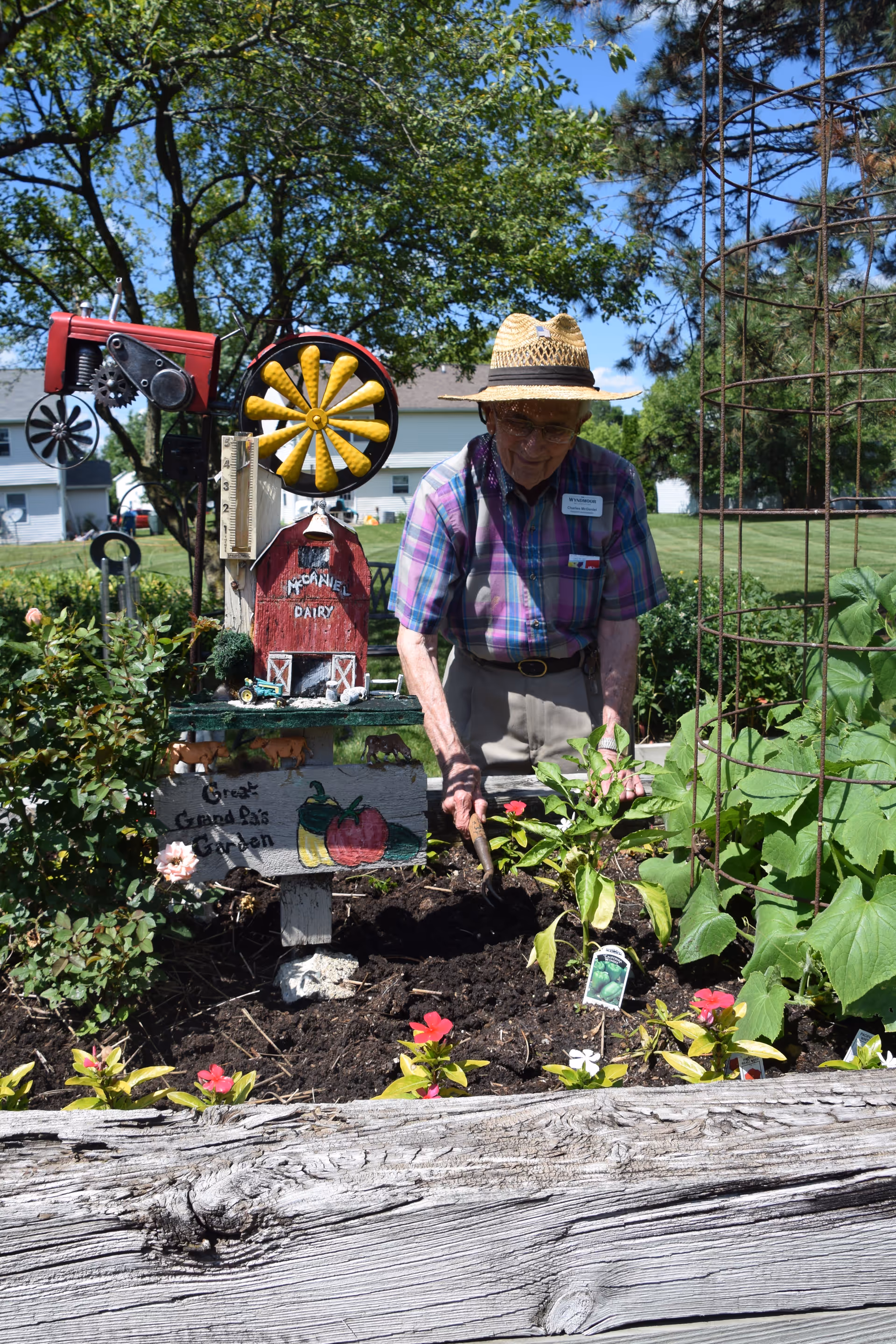 An elderly man wearing a straw hat and plaid shirt is gardening in a raised garden bed labeled 'Great Grand Pa's Garden' with a small decorative red barn and a yellow windmill in the background. The garden is surrounded by green plants and flowers, and the scene is set outdoors on a sunny day with trees and houses visible in the background.