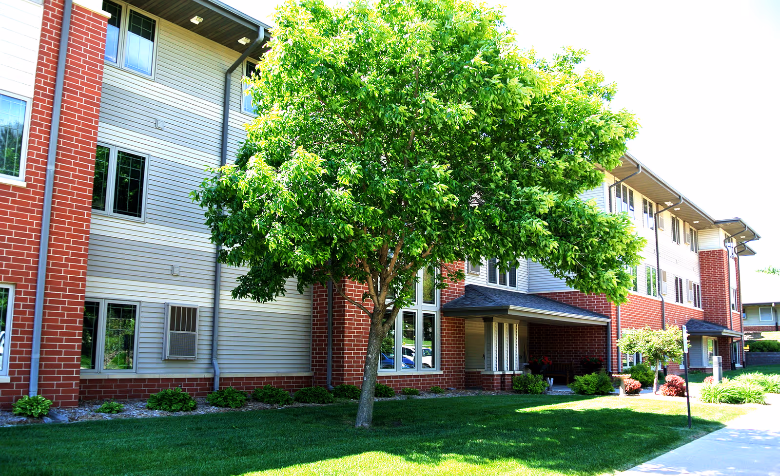 Exterior view of a multi-story senior living facility building with red brick and beige siding. There is a large leafy green tree and well-maintained grass and shrubs in front of the building. A sidewalk runs along the right side of the image.