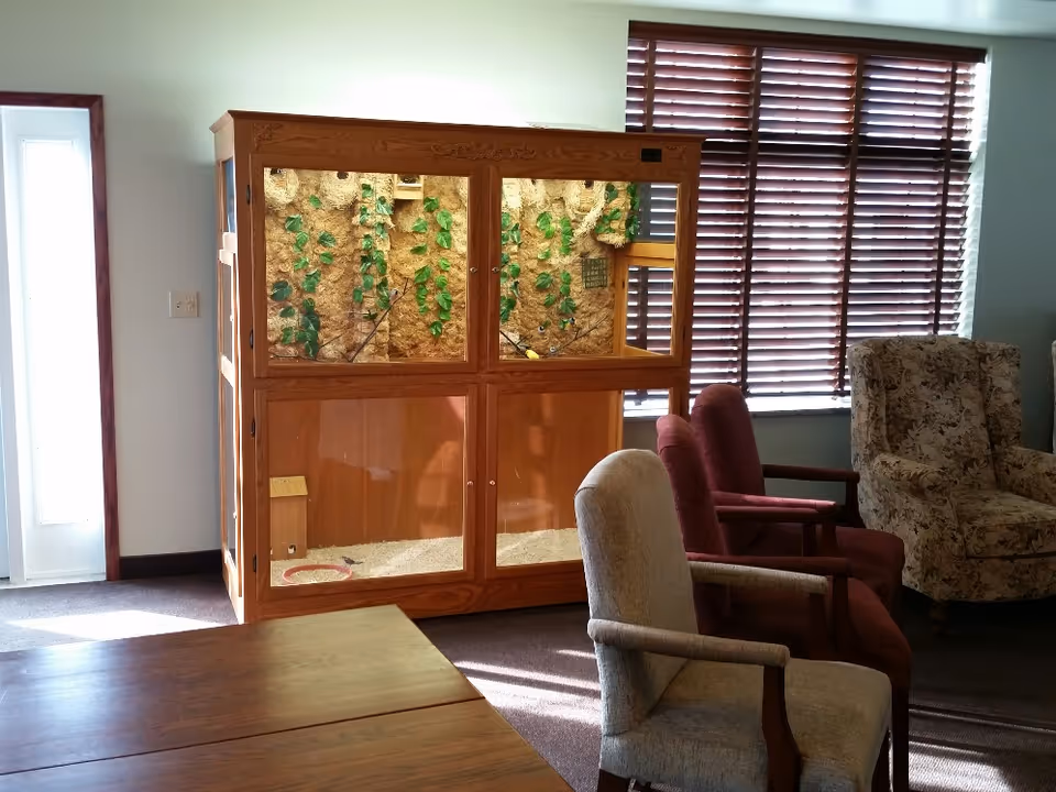 Sunlit common room with upholstered chairs, a large wooden terrarium, and window blinds.