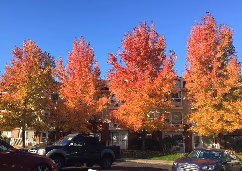Exterior view of a multi-story assisted living facility with several trees in front displaying vibrant autumn foliage in shades of red, orange, and yellow. Several parked vehicles are visible in the parking lot under a clear blue sky.