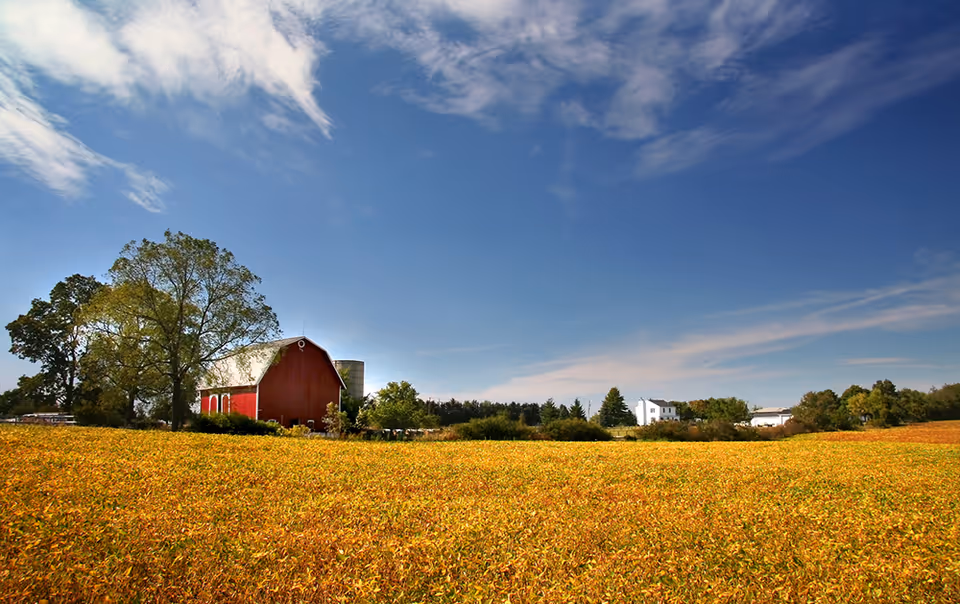 A scenic rural landscape featuring a large red barn with a white roof, surrounded by trees and a golden field under a blue sky with scattered clouds.