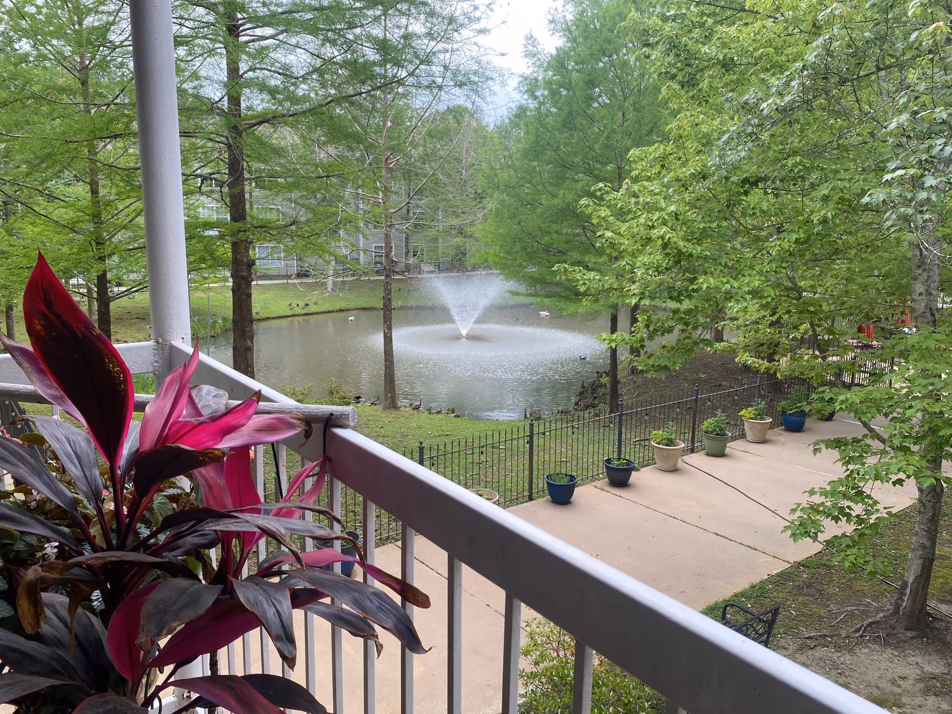 View from a balcony overlooking a pond with a central fountain, surrounding trees, potted plants, and a railing in the foreground.