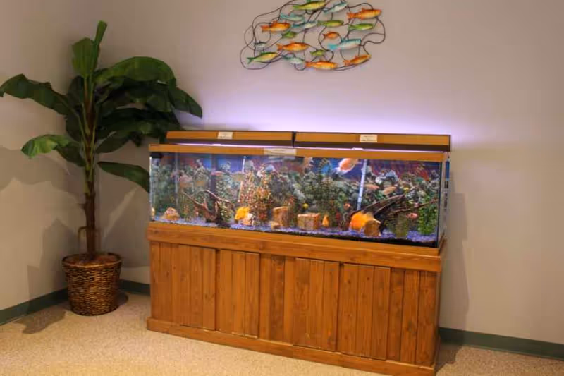 A large wooden aquarium filled with colorful fish and aquatic plants, placed against a beige wall. To the left of the aquarium is a tall green potted plant in a woven basket. Above the aquarium is a decorative metal wall art featuring a school of fish.