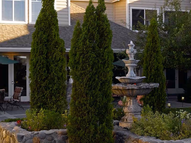 Outdoor garden area with tall evergreen trees, a multi-tiered stone fountain, and a stone-bordered flower bed in front of a building with beige siding and large windows. Patio chairs and tables are visible in the background.