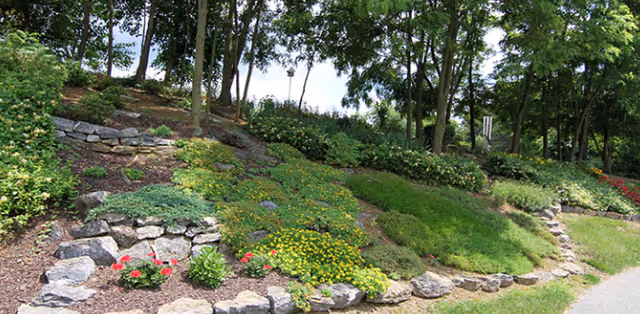 A landscaped outdoor garden area with various green plants, yellow and red flowers, and stone borders. Tall trees provide shade in the background.