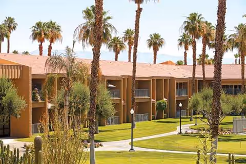 Exterior view of The Carlotta, Ivy Signature Living, featuring palm trees and a manicured lawn.