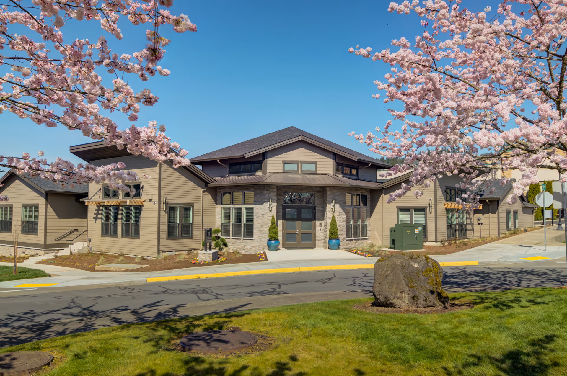 Exterior view of a single-story building with beige siding and a dark roof, framed by blooming pink cherry blossom trees under a clear blue sky. The building has large windows and a central entrance with two potted plants on either side. A paved road and green lawn with a large rock are in the foreground.