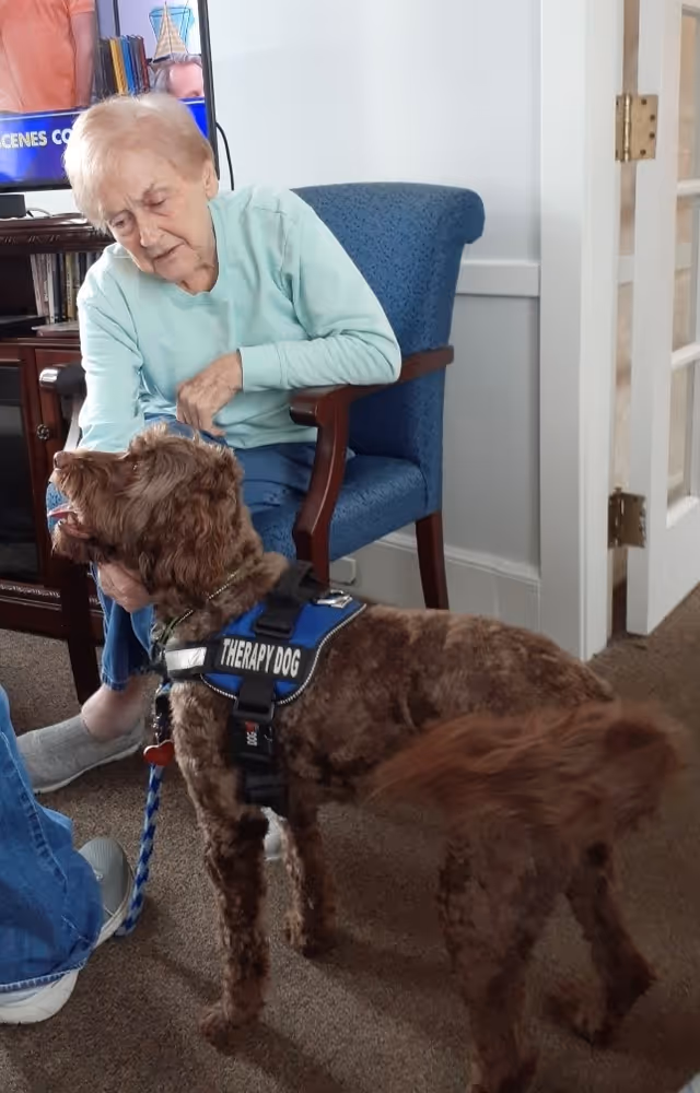 An elderly woman sitting in a blue armchair indoors, gently interacting with a brown therapy dog wearing a blue vest labeled 'THERAPY DOG'. The room has carpeted flooring and a partially visible television and furniture in the background.