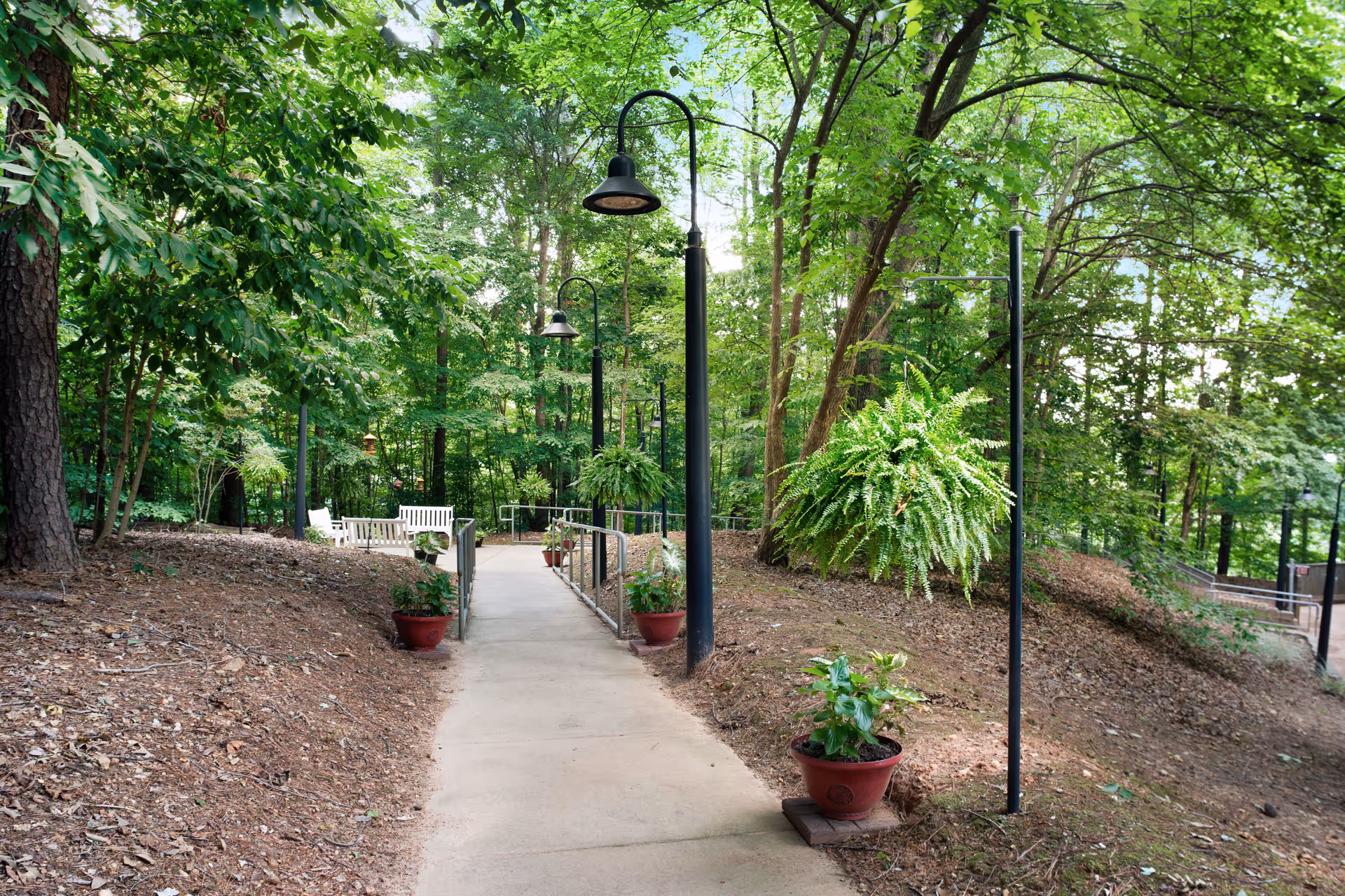 Paved garden walkway through trees lined with lamp posts, potted plants, hanging ferns, and benches.