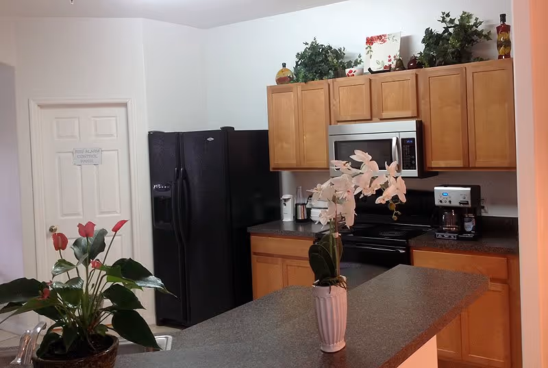 Kitchen with wood cabinets, black refrigerator and appliances, a countertop island with a potted orchid, and plants on top of the cabinets.