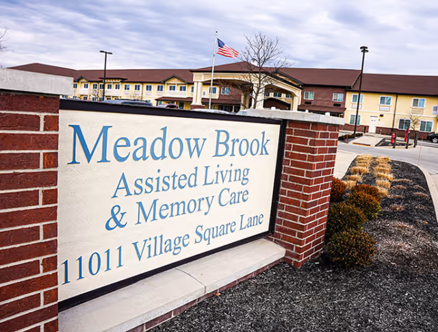 A brick sign for Meadow Brook Assisted Living & Memory Care (11011 Village Square Lane) stands in front of the facility building with an American flag in the background.