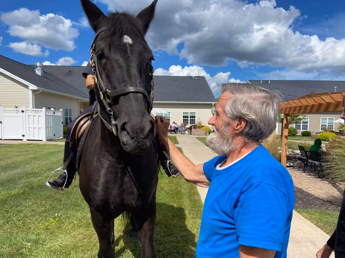 An elderly man in a blue shirt is petting a large black horse outside on a grassy area with a paved walkway. A person is sitting on the horse. In the background, there are beige buildings with white fences, a wooden pergola, and a few people sitting on benches. The sky is partly cloudy.