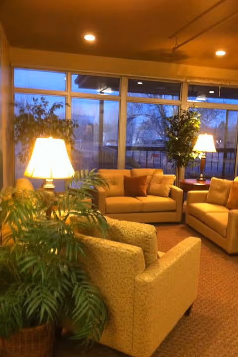A cozy living room area with beige upholstered sofas and armchairs arranged around a carpeted floor. There are two table lamps providing warm lighting, and large windows in the background showing an outdoor view with trees. Several green potted plants add a touch of nature to the space.