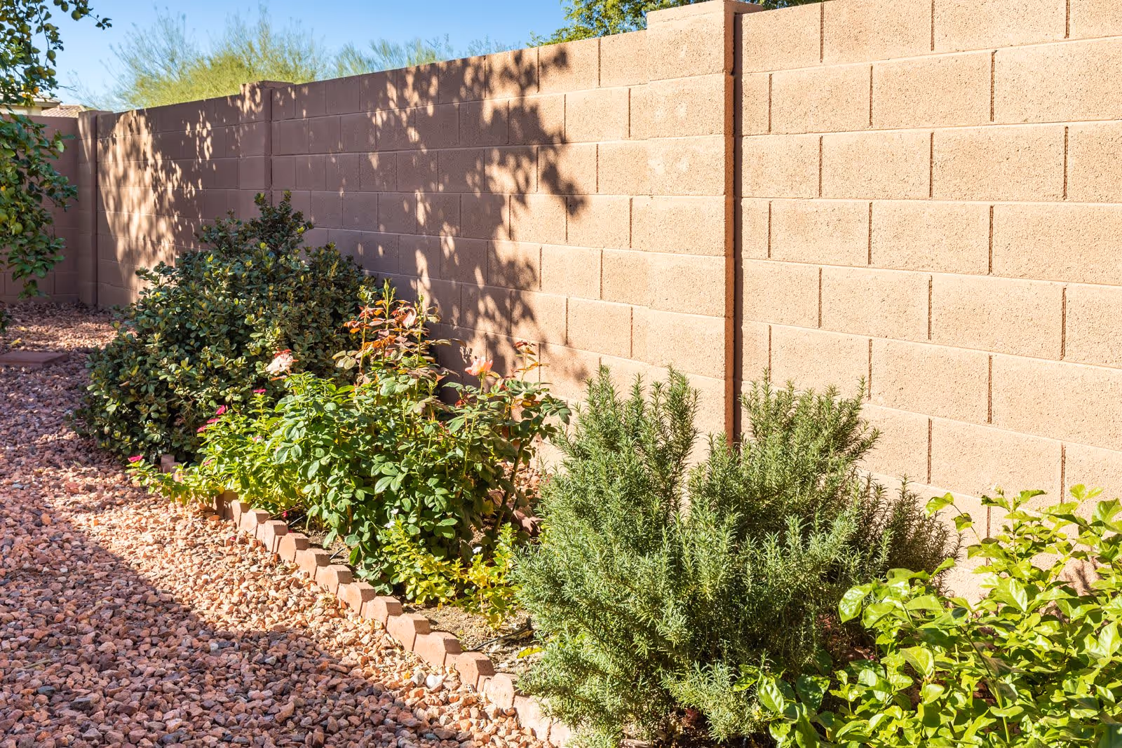 Sunlit backyard with gravel ground and a row of shrubs and flowering plants along a low brick border in front of a cinderblock privacy wall.