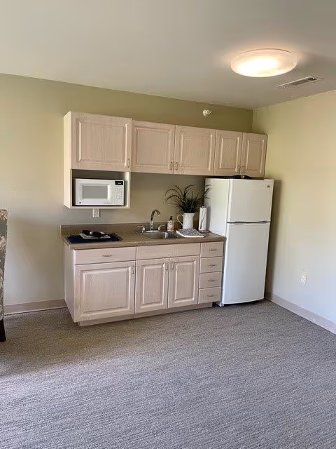 A small kitchenette area with light wood cabinets, a white microwave mounted above the counter, a sink with a faucet, a white refrigerator, and a few decorative items including a plant and paper towels. The room has beige walls and carpeted flooring.
