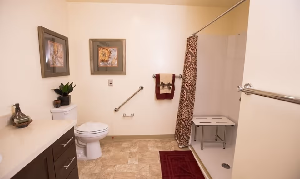 A clean and accessible bathroom with a toilet, a vanity with drawers, a shower area with a patterned curtain and a shower bench, grab bars on the walls, a burgundy bath mat, and framed artwork on the wall.
