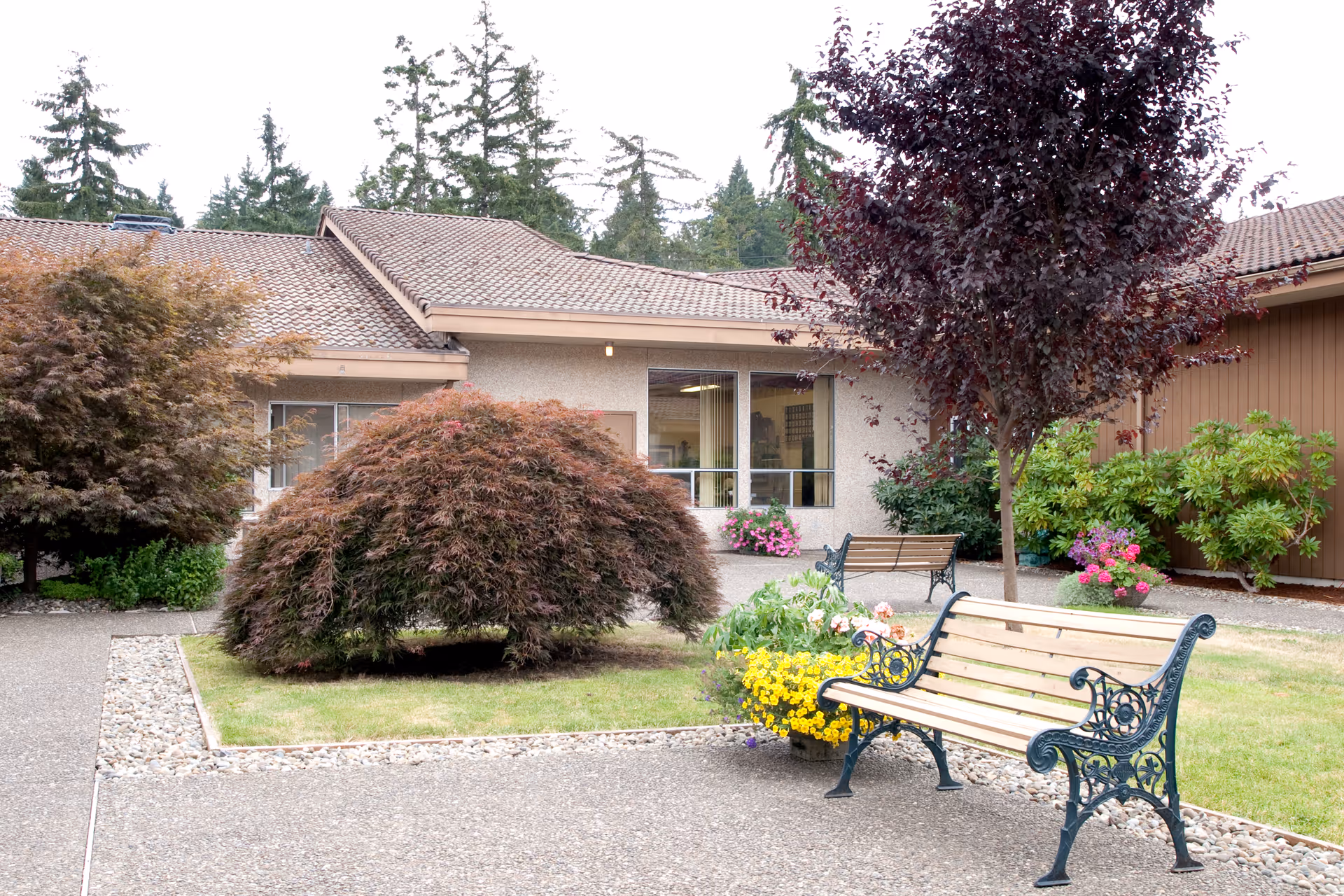 Outdoor courtyard area of a senior living facility with benches, flowering plants, and various trees including a large bushy tree and a smaller tree with dark red leaves. The building has a tiled roof and large windows.