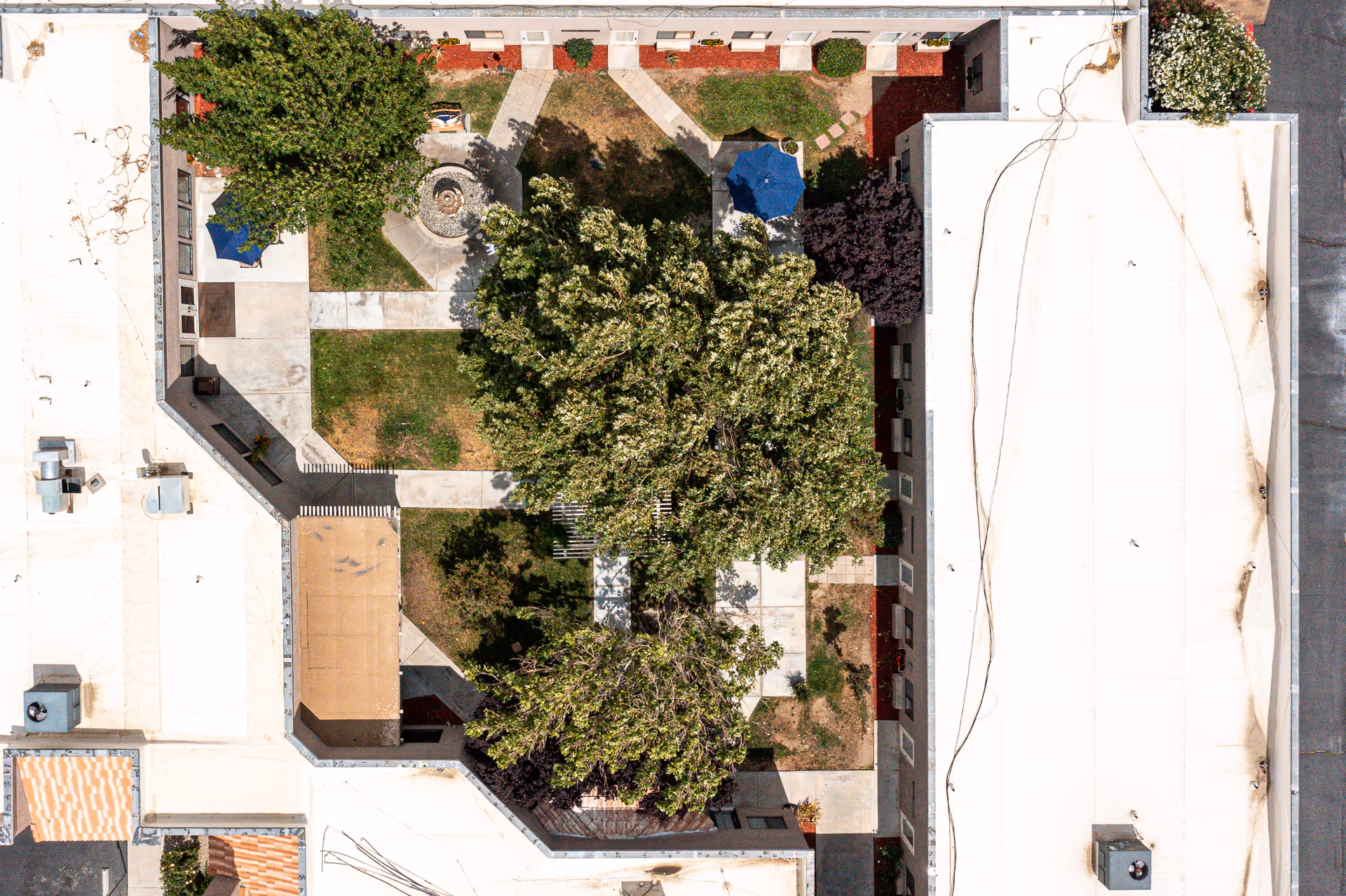 Aerial view of an outdoor courtyard area within a building complex. The courtyard features several large trees, green grassy areas, paved walkways, a circular fountain, and blue umbrellas providing shade over seating areas. Surrounding the courtyard are the rooftops and walls of the building.