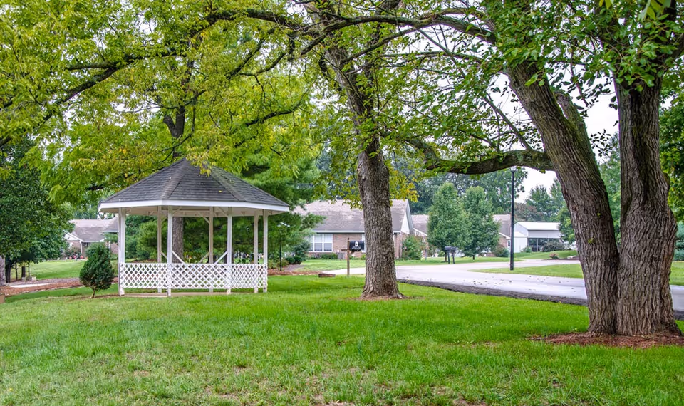 A white gazebo on a grassy lawn beneath large trees with a road and residential buildings in the background.